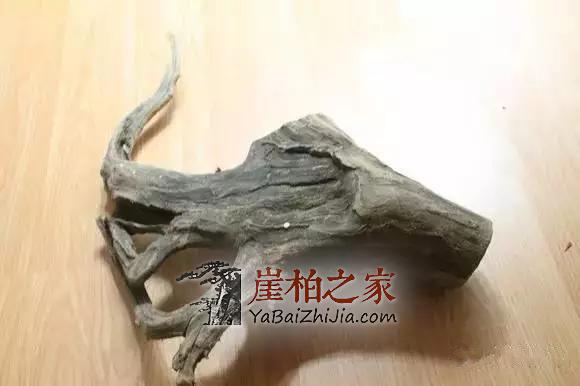 崖柏香味:悠悠崖柏香沁心-1