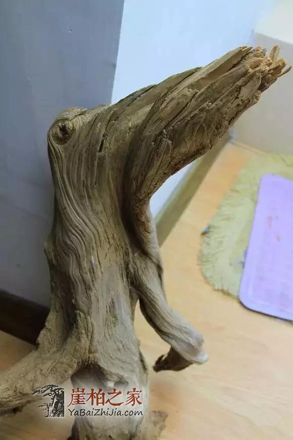 崖柏香味:悠悠崖柏香沁心-5
