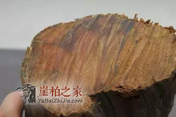 崖柏香味:悠悠崖柏香沁心-6