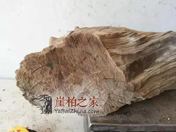 崖柏香味:悠悠崖柏香沁心-8