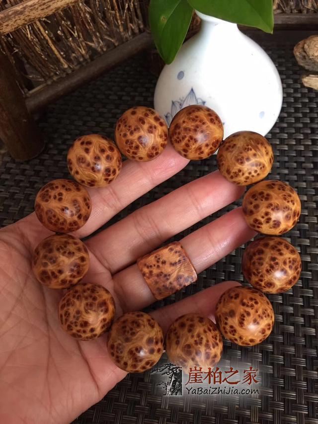 崖柏瘤的种类有哪些?-7