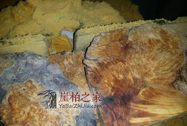 崖柏打磨哪些适合,哪些不适合与打磨小技巧?!-5