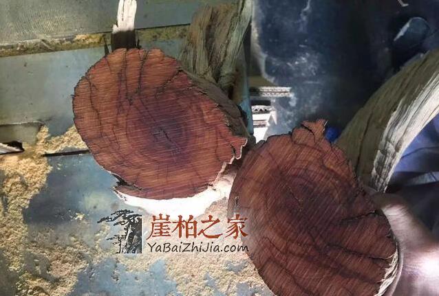 崖柏打磨哪些适合,哪些不适合与打磨小技巧?!-7