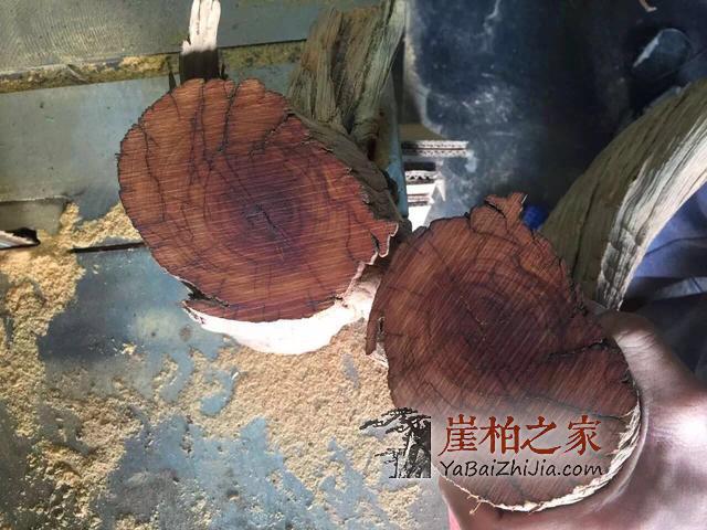 崖柏雷击木,那都是忽悠人的,喜欢崖柏手串的朋友引以为戒!-4