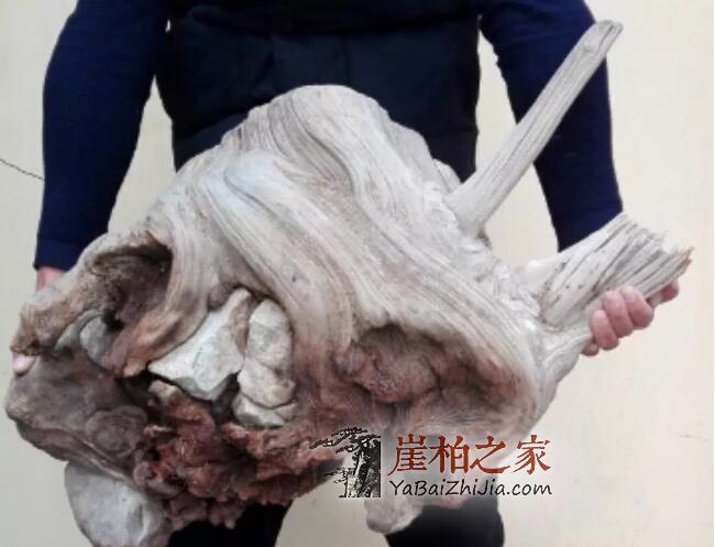 崖柏料的分类都有哪些?-3