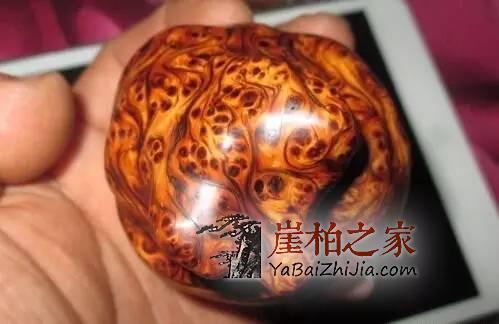 崖柏之家教你如何挑选崖柏把件-5