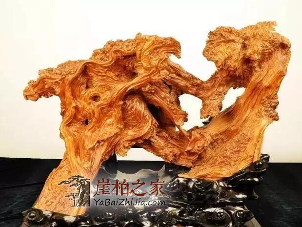 不要再听说崖柏,请听崖柏说-1