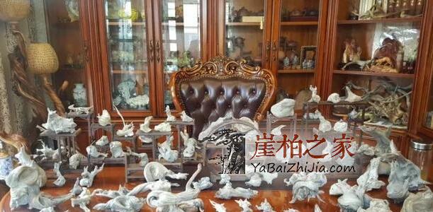 什么类型的崖柏最具潜力?不看是您的损失!-1