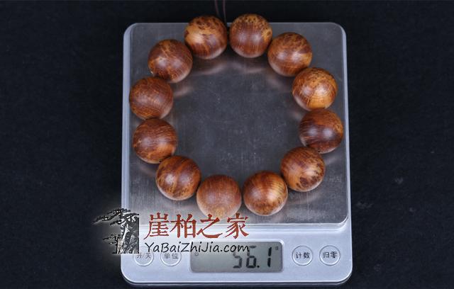 关于崖柏,这些误区你犯了吗?-1