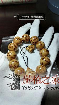 关于崖柏,这些误区你犯了吗?-4