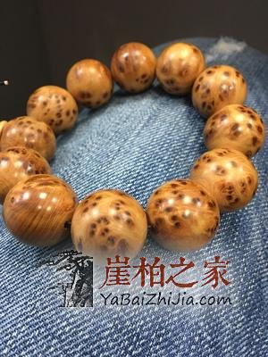 关于崖柏,这些误区你犯了吗?-5