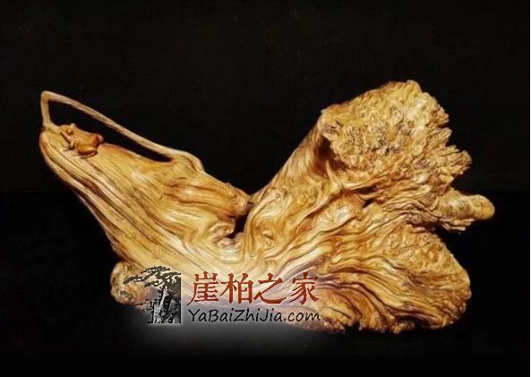 如何看待“目前崖柏产量供大于求”的说法?听听他们怎么说-13
