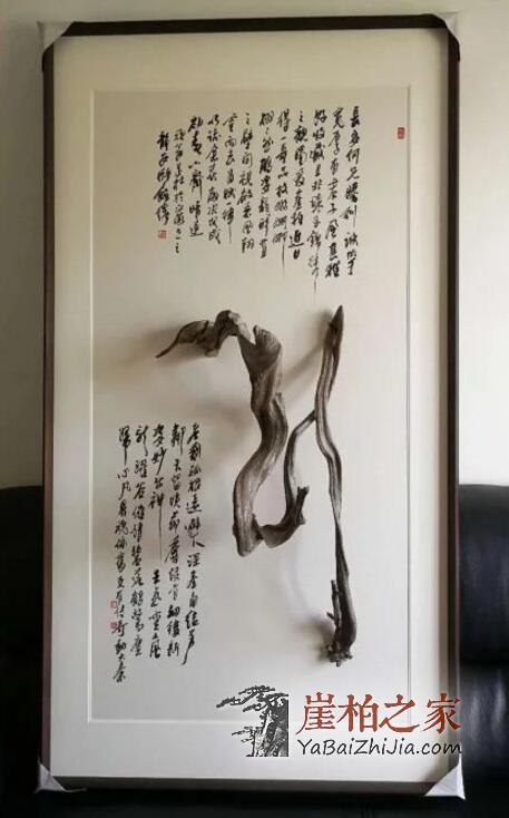 如何看待“目前崖柏产量供大于求”的说法?听听他们怎么说-12