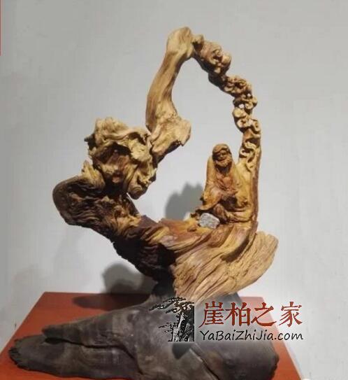 如何看待“目前崖柏产量供大于求”的说法?听听他们怎么说-10