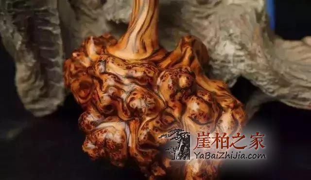 崖柏应该收藏毛料还是成品?如何抉择!-5