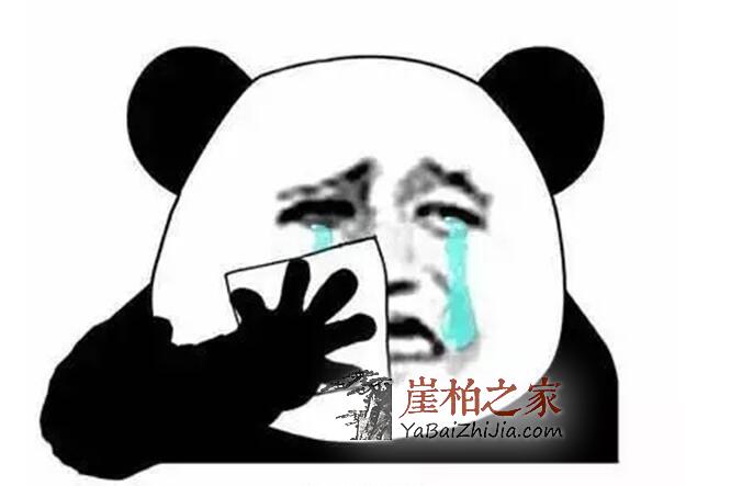 “卖崖柏”堪称人生最痛苦的职业!