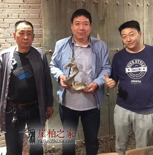 新一轮崖柏涨价潮到来,崖柏价格一路高升!-5