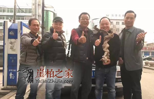 新一轮崖柏涨价潮到来,崖柏价格一路高升!-6