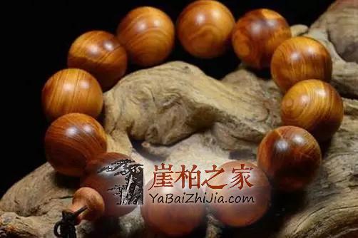 崖柏长毛了,可把宝宝吓坏了!-4