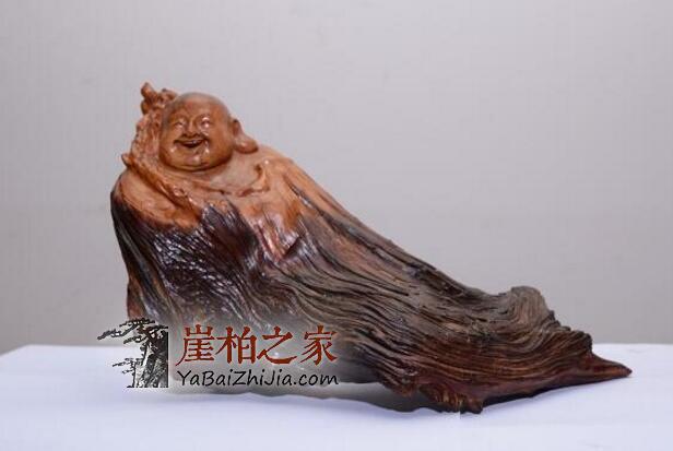 你知道吗,崖柏也要天天洗脸,周周洗澡?-1
