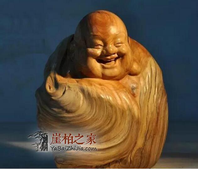 你知道吗,崖柏也要天天洗脸,周周洗澡?-3