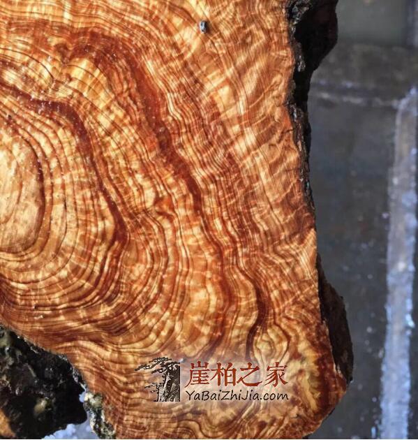 龙胆纹崖柏手串与闪电纹崖柏手串究竟有何区别?-1