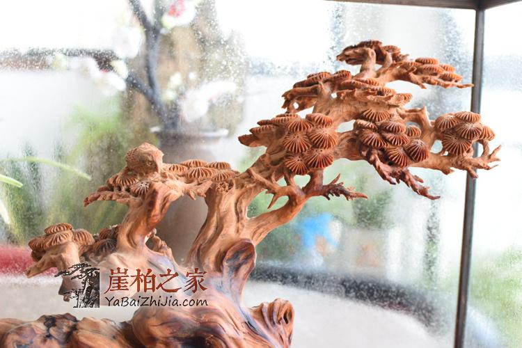 崖柏根雕作品《喜上枝头》太行崖柏根雕木雕喜鹊花鸟-3