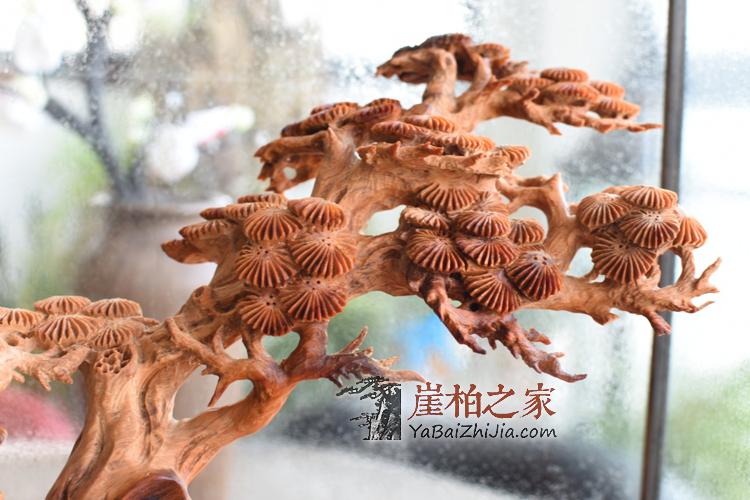 崖柏根雕作品《喜上枝头》太行崖柏根雕木雕喜鹊花鸟-9