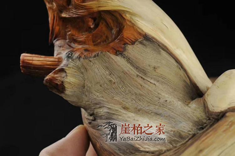太行崖柏陈化双色雕刻孔子摆件崖柏木雕-4