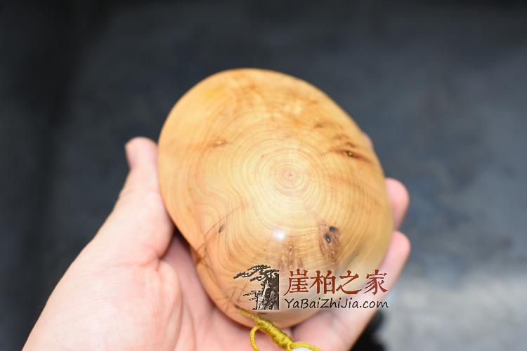 太行崖柏陈化料雕刻【大海贝】手把件/茶宠摆件-1