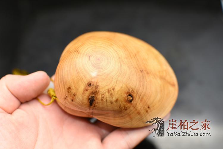 太行崖柏陈化料雕刻【大海贝】手把件/茶宠摆件-6