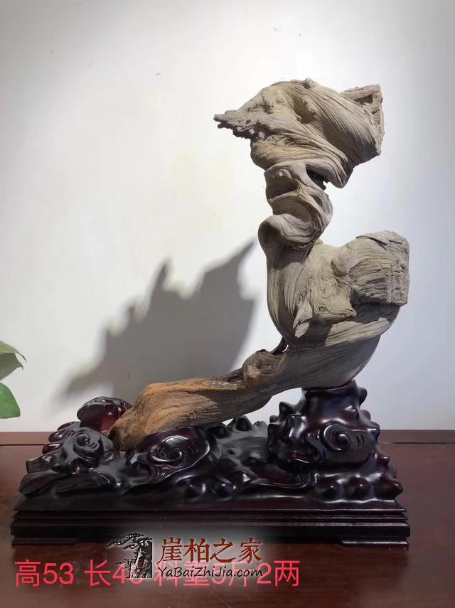 崖柏真的可以改变人的后天运势？-2