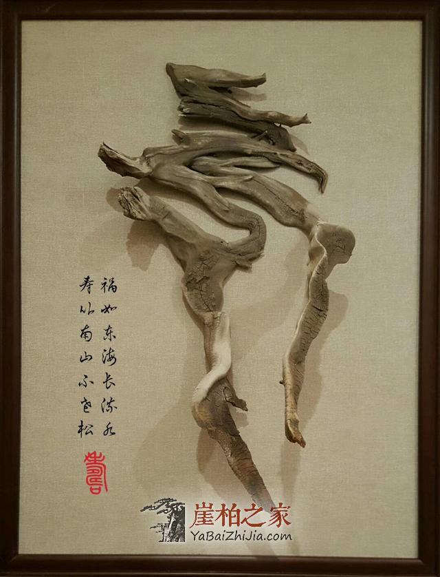 崖柏真的可以改变人的后天运势？-5