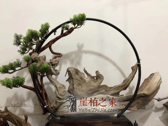 崖柏真的可以改变人的后天运势？-1