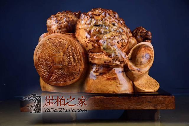 如何养护崖柏,崖柏保养全攻略-3
