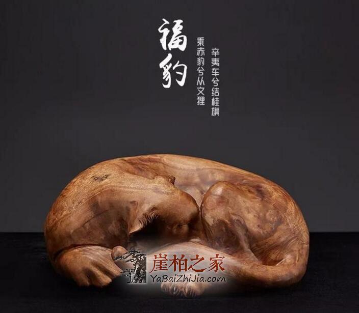 崖柏独特的美,来源于它自身的苦难沧桑-5