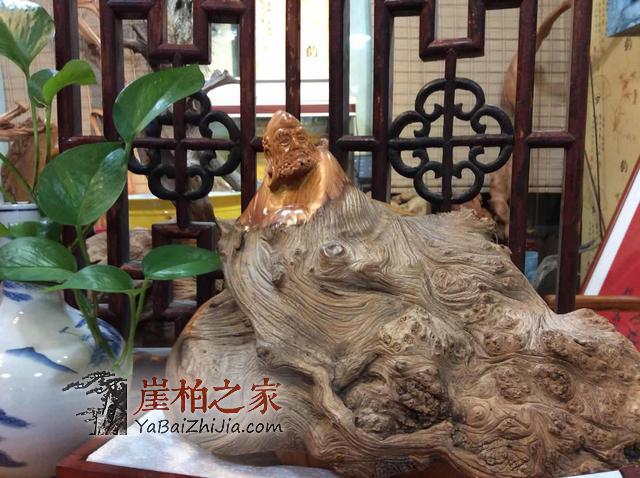 干货:崖柏爱好者如何选择崖柏原料产地-3