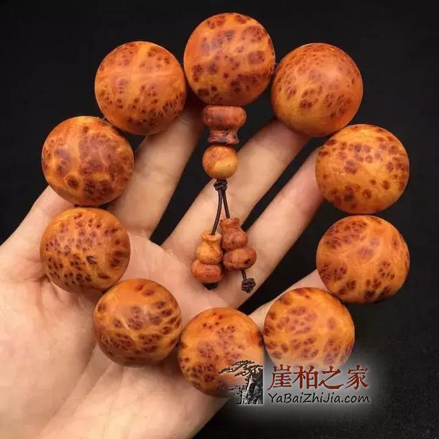 想买个崖柏?这些硬知识你不能不知道!-8