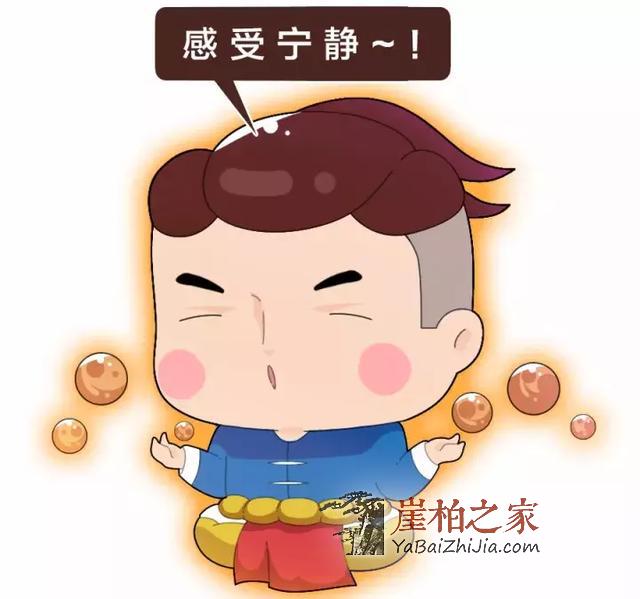 想买个崖柏?这些硬知识你不能不知道!-11