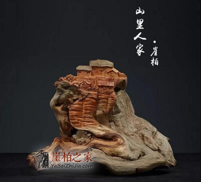 高价崖柏背后的成长经历!-1