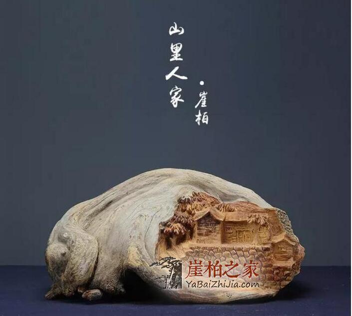 高价崖柏背后的成长经历!-2