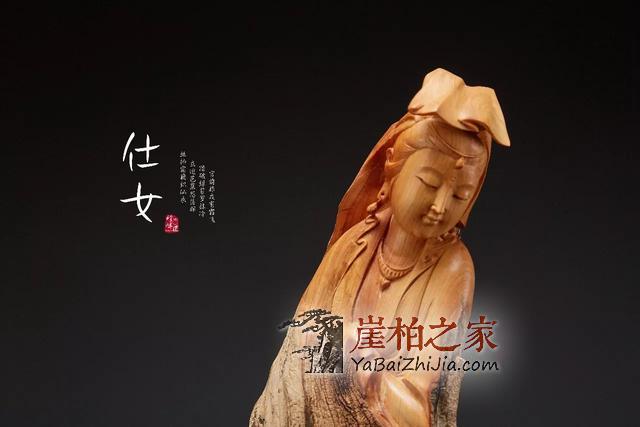 高价崖柏背后的成长经历!-5
