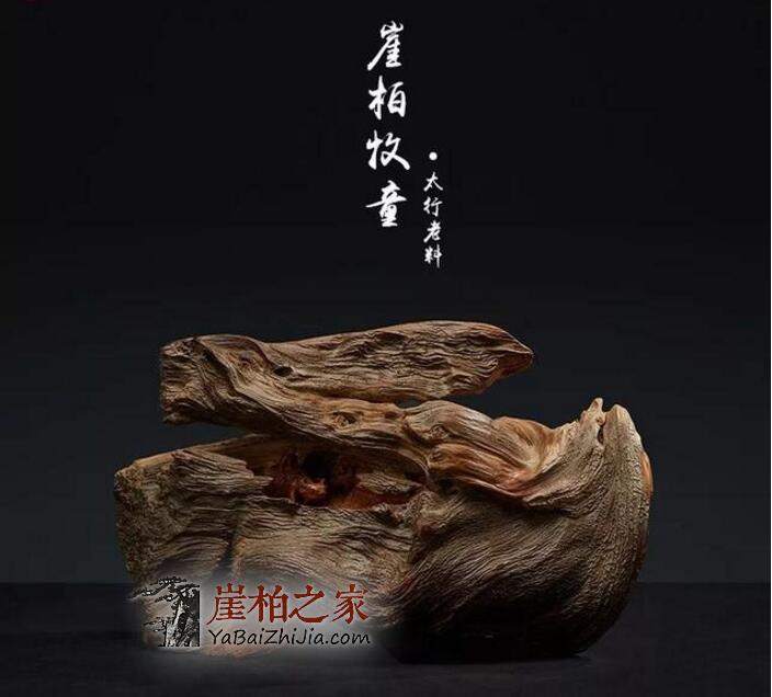 崖柏精神:宁死不倒,宁倒不腐-3