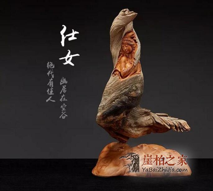 崖柏精神:宁死不倒,宁倒不腐-6