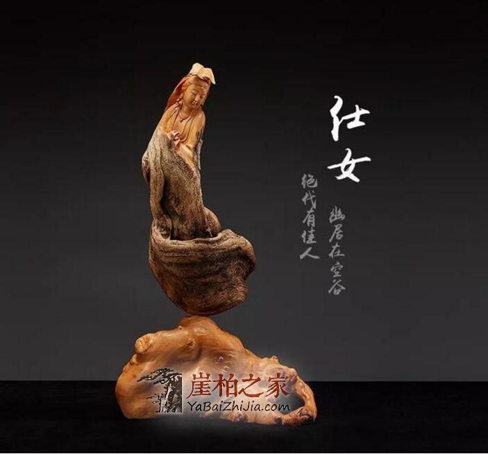 崖柏精神:宁死不倒,宁倒不腐-7