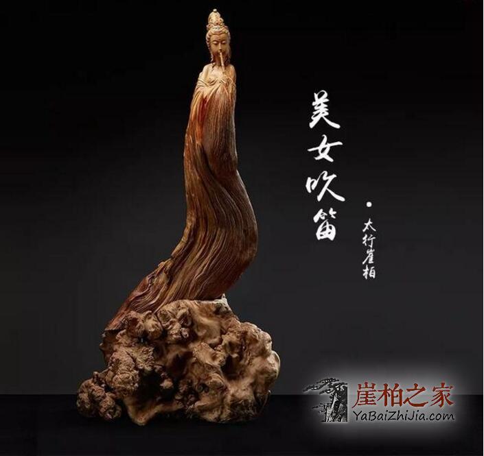 崖柏精神:宁死不倒,宁倒不腐-9