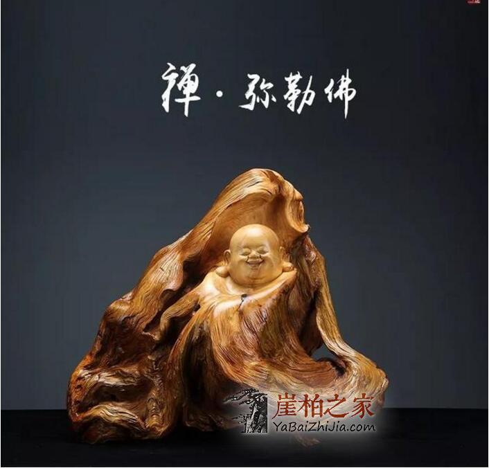 学习崖柏精神,人生需要态度!-3