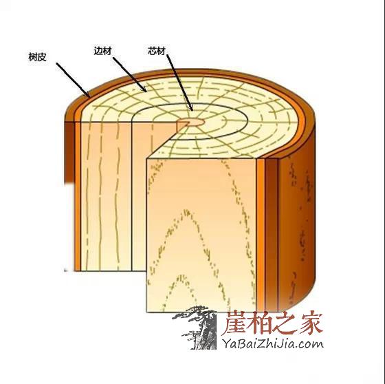 干货:关于崖柏的陈化等级-1