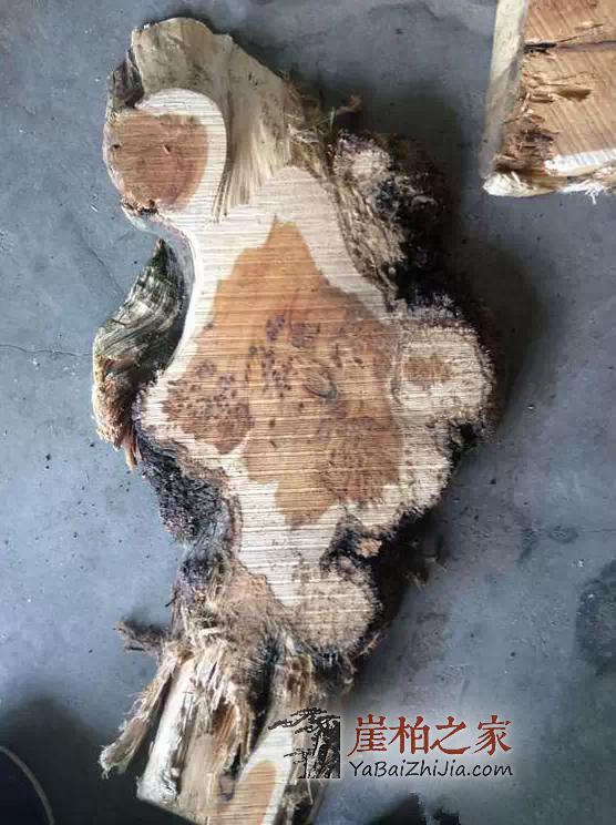 干货:关于崖柏的陈化等级-3