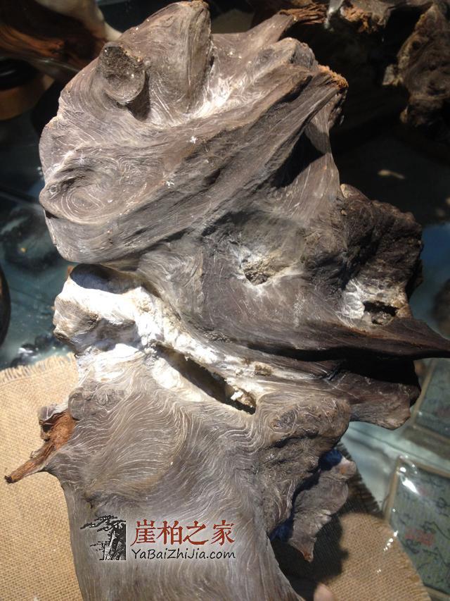 干货:关于崖柏的陈化等级-10